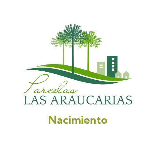 araucaria